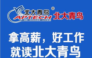 許昌計算機學校選擇指南 手機軟件專業哪家強？